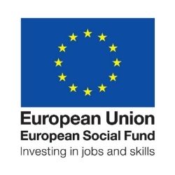 eu social fund 250x250 eu european social fund logo