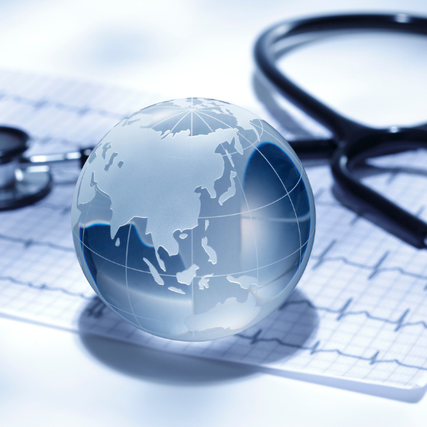 Egypt Health Models 600