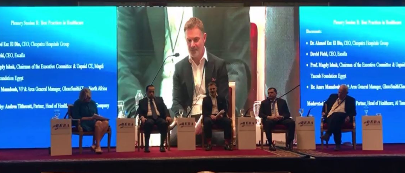 Egypt Conference BEBA