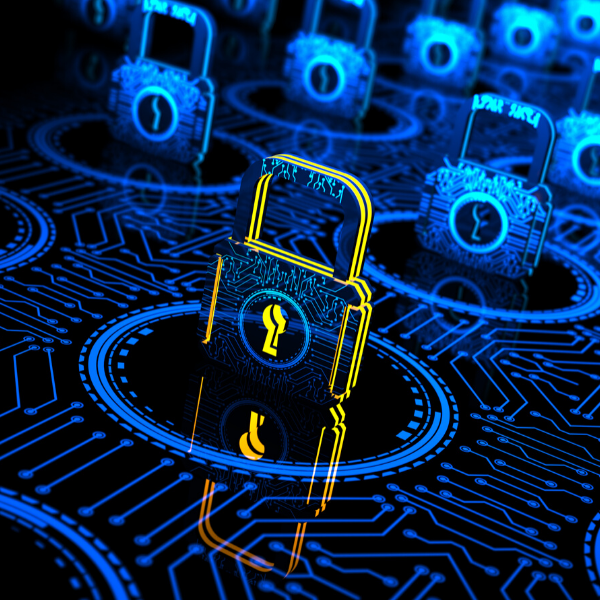 Cyber Security Apprenticeship