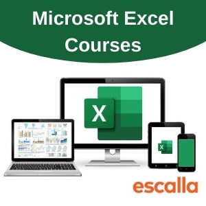 Microsoft Excel Course