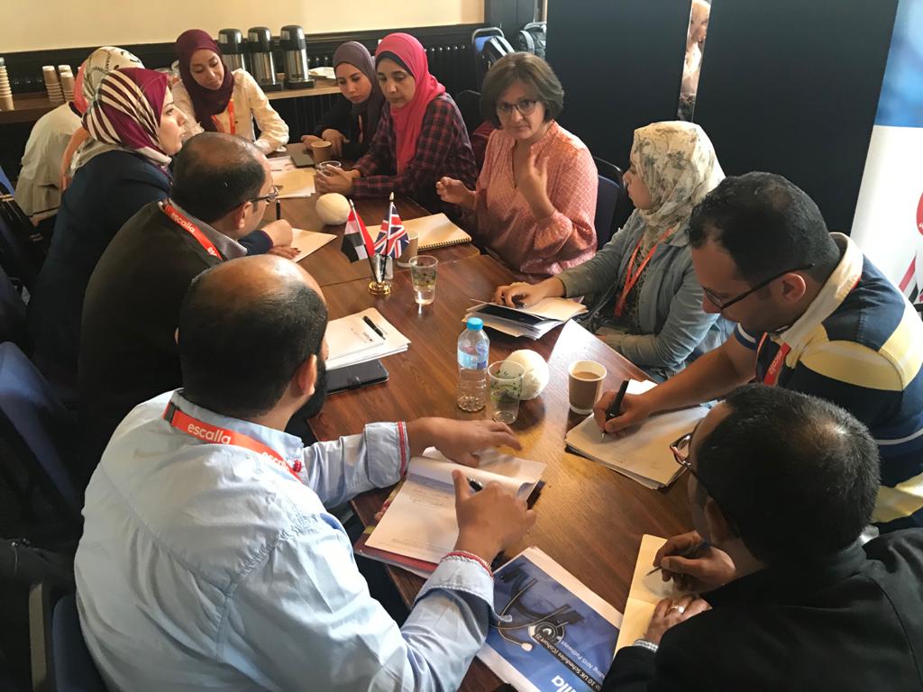 egyptian doctors healthcare programme