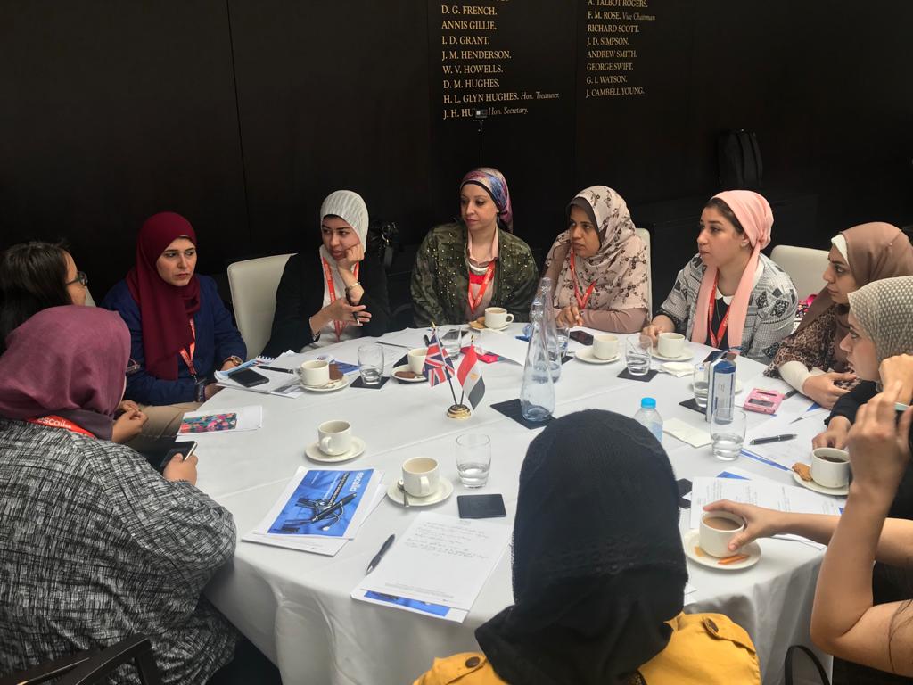 egyptian doctors healthcare programme
