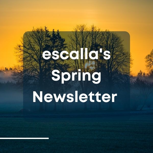 newsletter-featured-image
