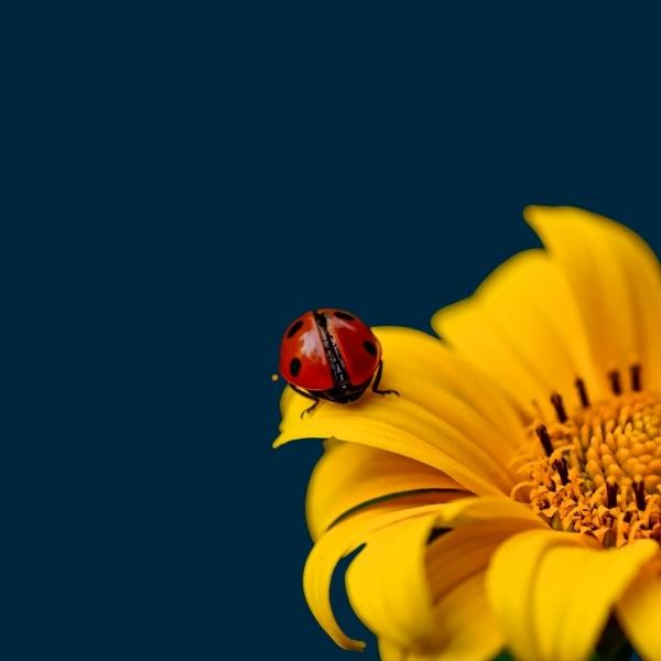 spring newsletter