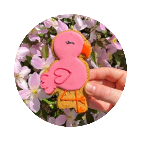 apprentice