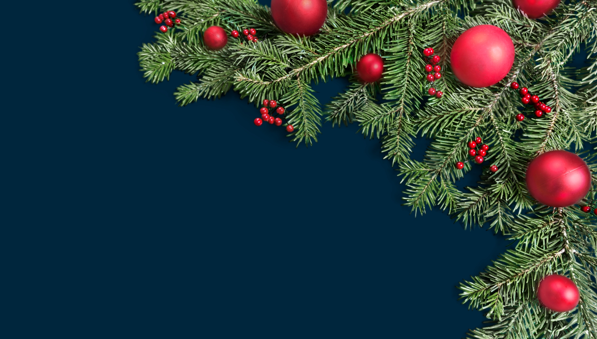 Christmas Newsletter