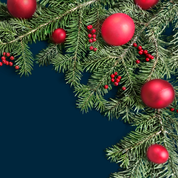 Christmas Newsletter