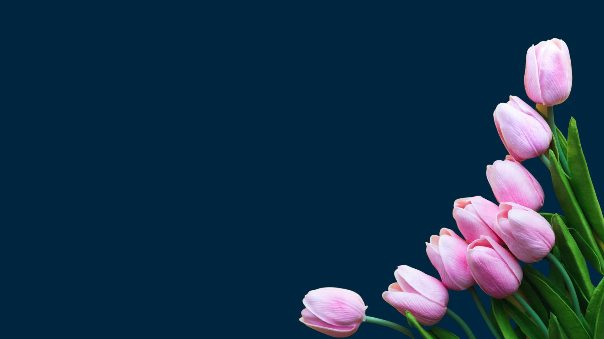 spring newsletter