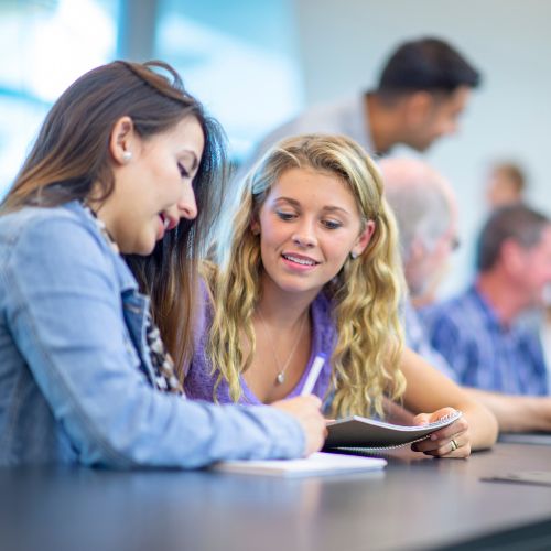 Setting your apprentice up for success